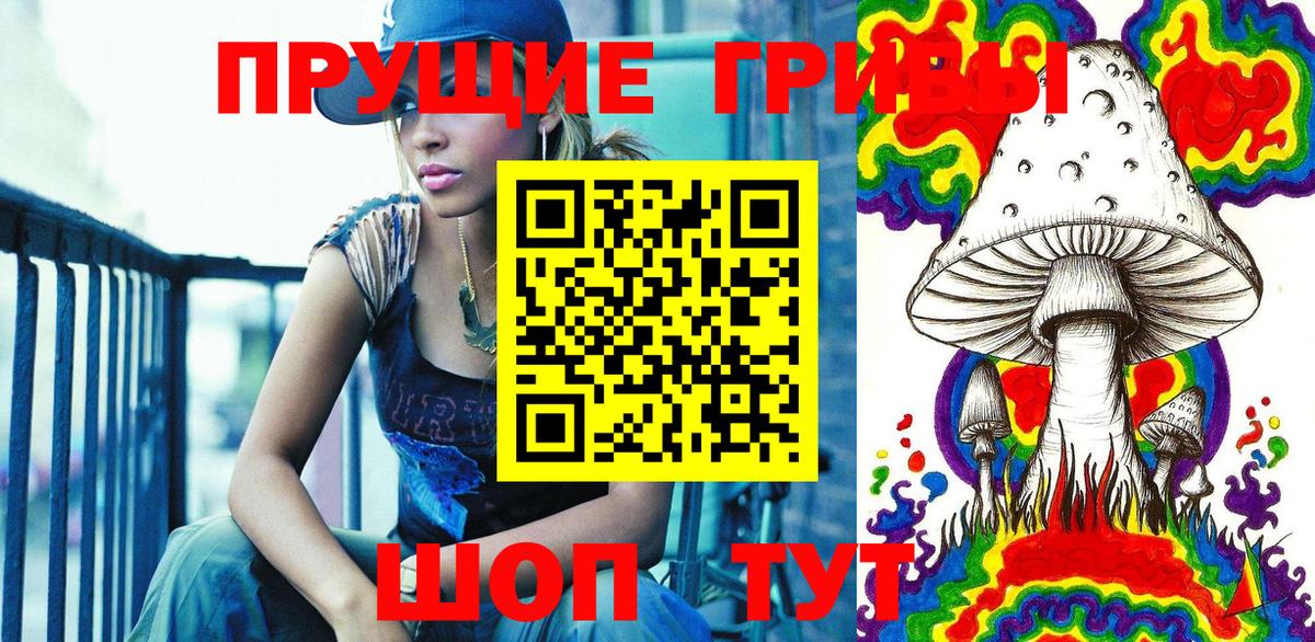 Псилоцибиновые грибы Psilocybe Воткинск
